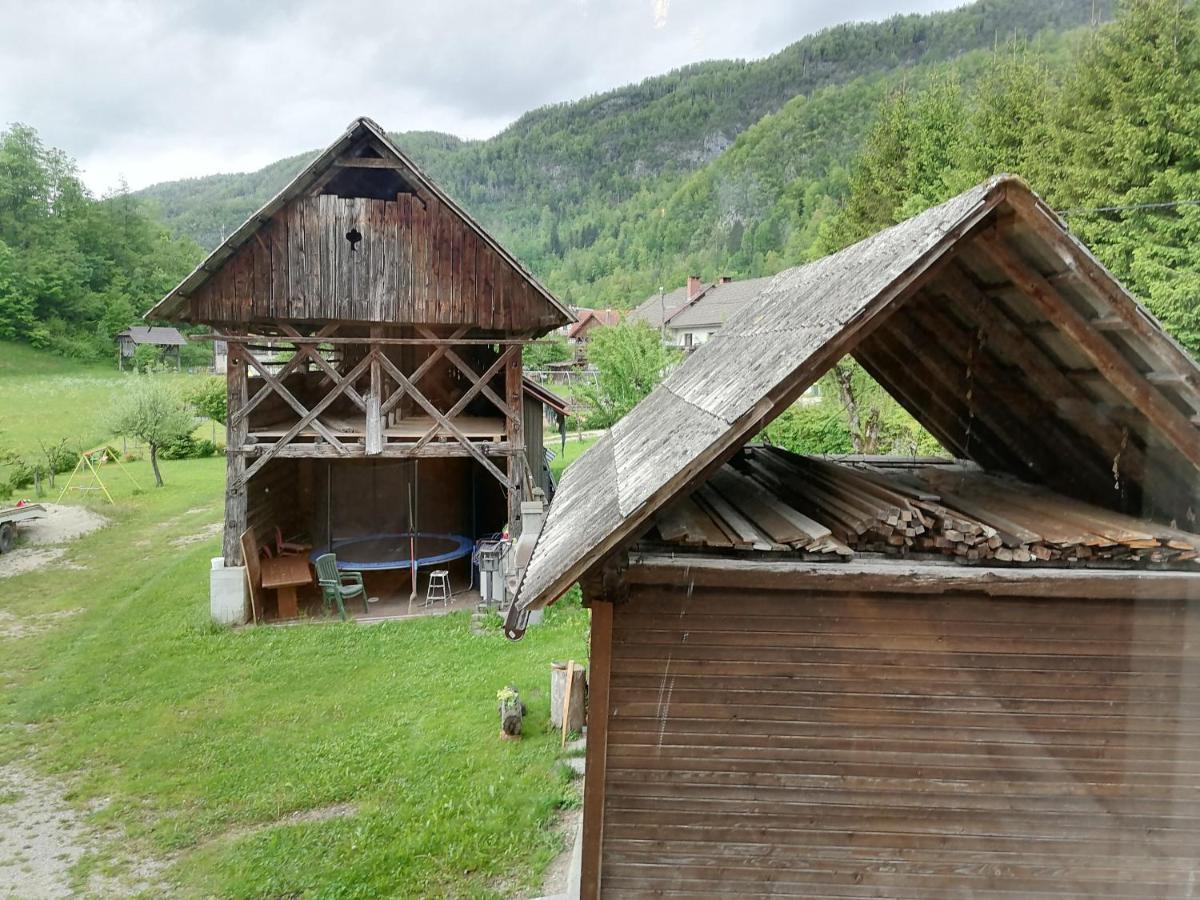 Apartment House Andrej Bohinj Bagian luar foto