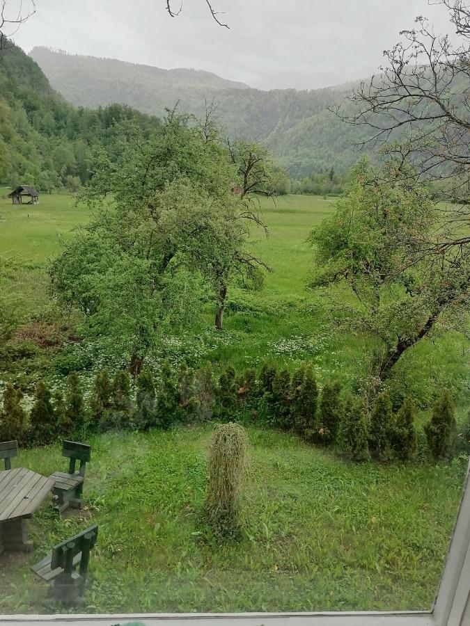 Apartment House Andrej Bohinj Bagian luar foto