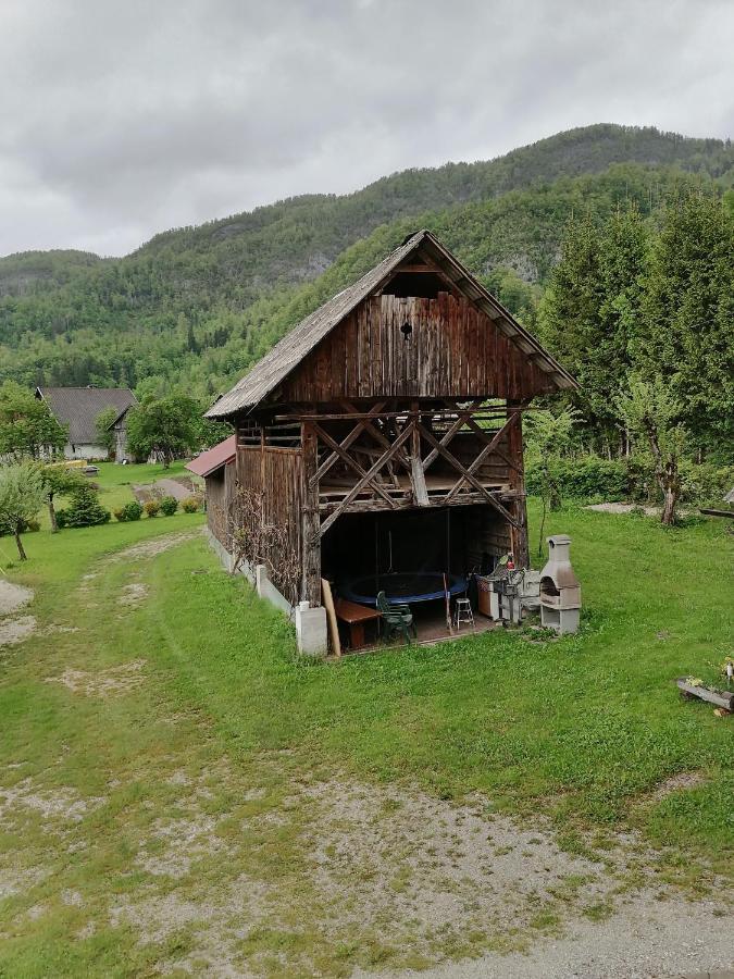 Apartment House Andrej Bohinj Bagian luar foto