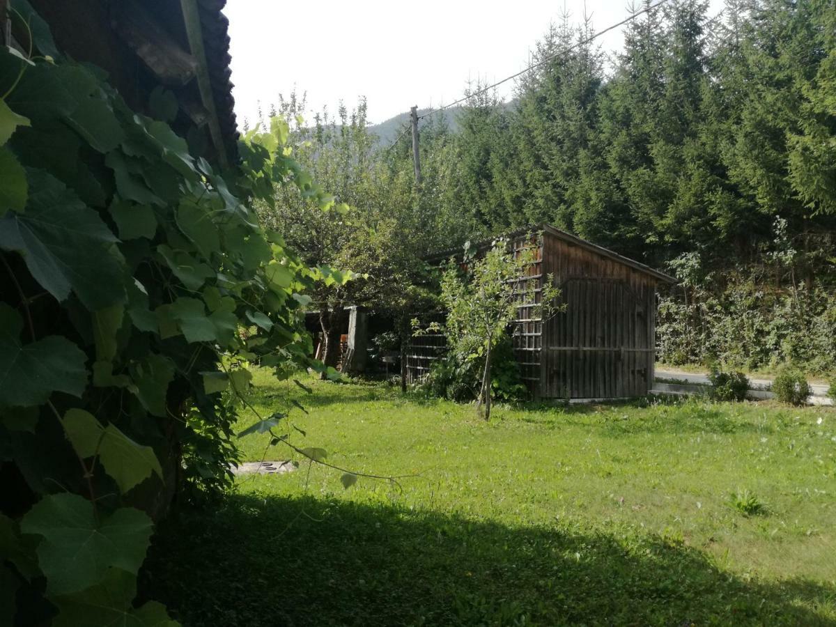 Apartment House Andrej Bohinj Bagian luar foto