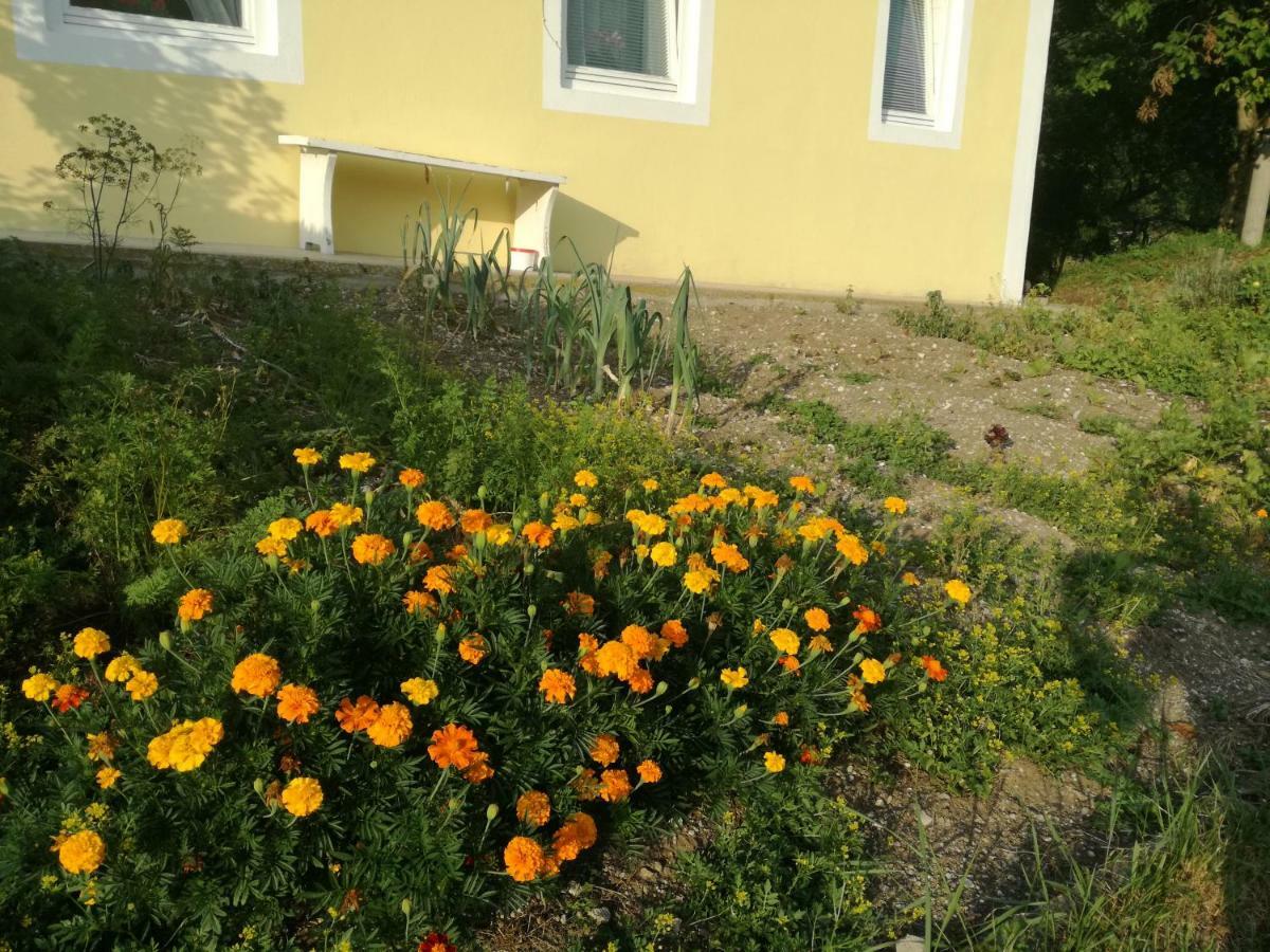 Apartment House Andrej Bohinj Bagian luar foto